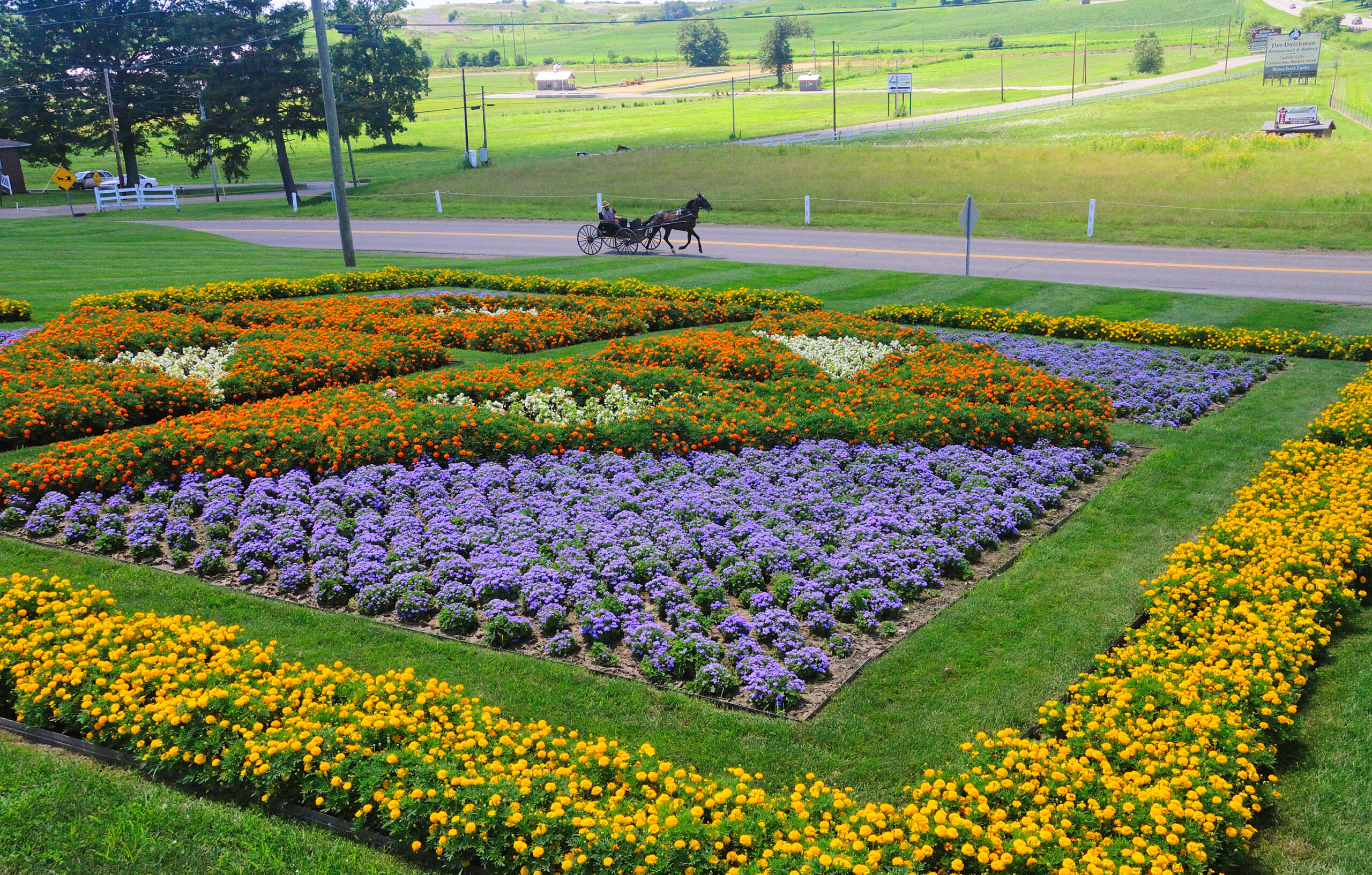 DHG Guest Guide: The must-sees and do’s at our locations