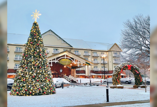 Dutch Valley Christmas Tree Lighting