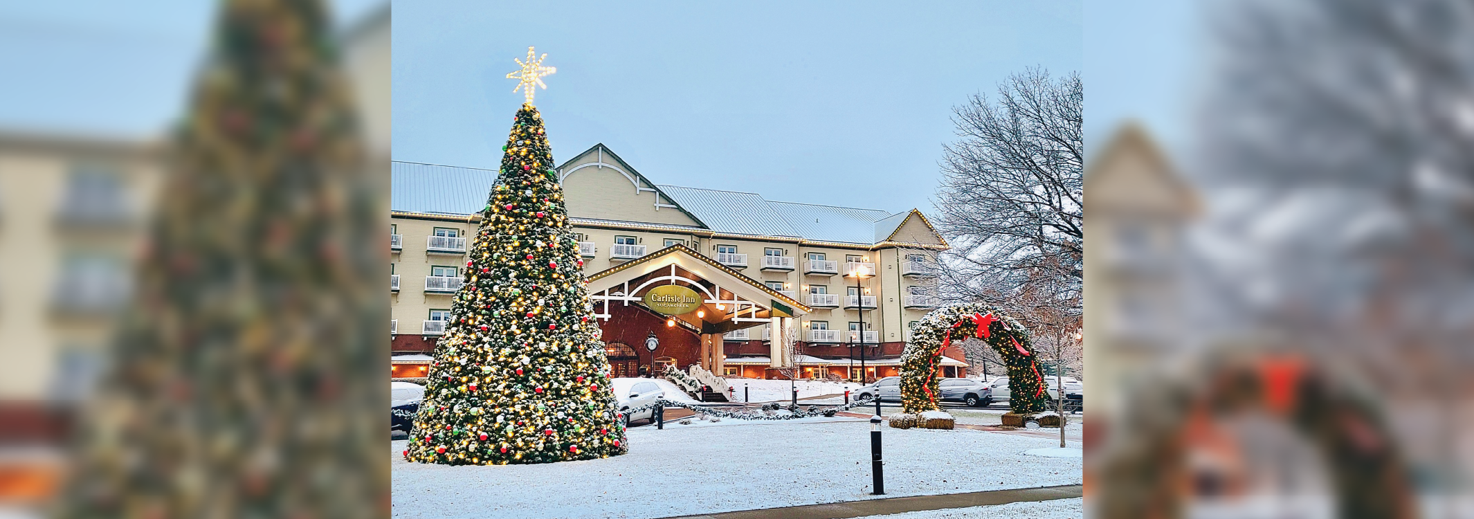 Dutch Valley Christmas Tree Lighting
